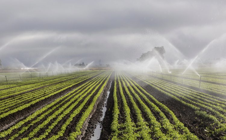  PRR – Reduzir Perdas de Água e Aumentar a Eficiência no Setor Agrícola